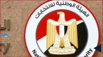 جولة الإعادة للانتخابات المصرية تبدأ قريبًا وتحدد نتيجتها النهائية في 25 ديسمبر